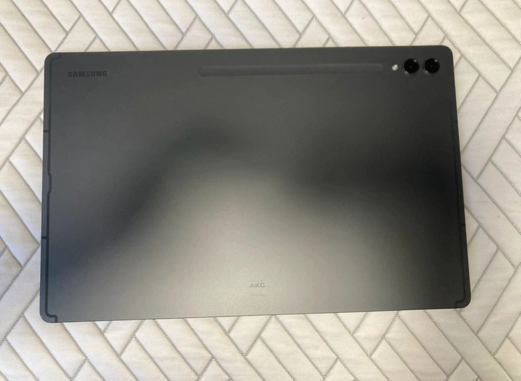 갤럭시탭 s9 울트라 wifi 256GB 이미지