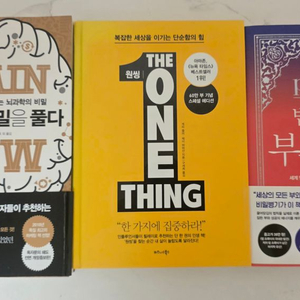 베스트셀러 도서 뇌, 욕망의 비밀을 풀다 / 원씽/ 밥프록터 부의확신 책 세트베스트셀러 도서 뇌, 욕망의 비밀을 풀 이미지