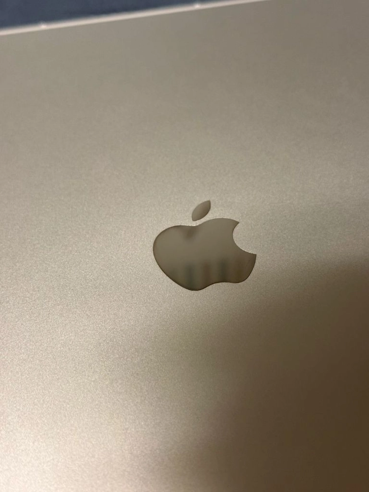 아이패드 프로 M4 13인치 256GB 셀룰러 이미지