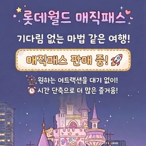 빠른 답장_롯데월드 매직패스 5회권 이미지