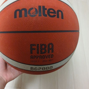 FIBA 공인 농구공 이미지