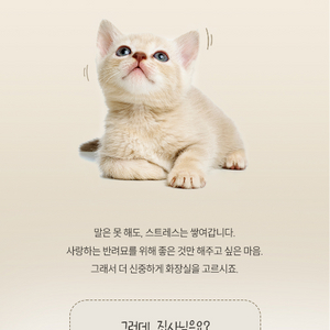고양이 자동 화장실 이미지