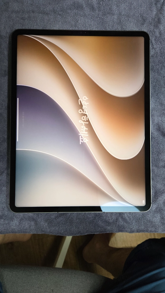 Apple iPad Pro 12.9 5세대 256GB 셀룰러 신품급 - 안심되는 중고거래