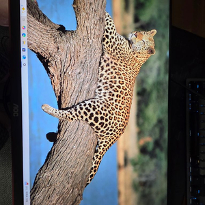 알파스캔 AOC 144Hz IPS패널 모니터 풀박스 이미지