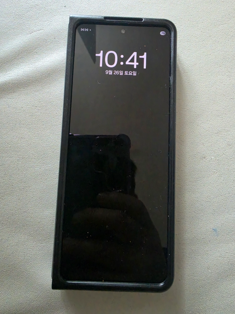 갤럭시 Z 폴드4 그린 256GB(s펜 포함) 이미지