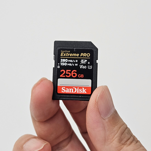 샌디스크 v60 256GB 이미지