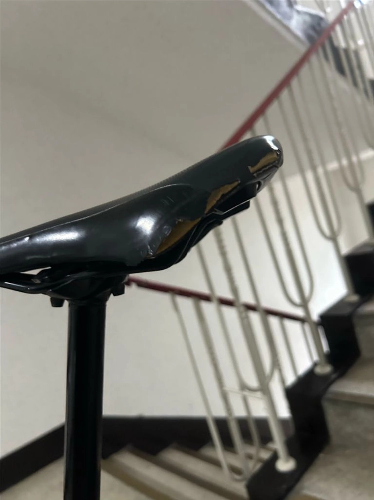 자이언트 레인 SX 엔듀로 풀샥 mtb 산악자전거 이미지
