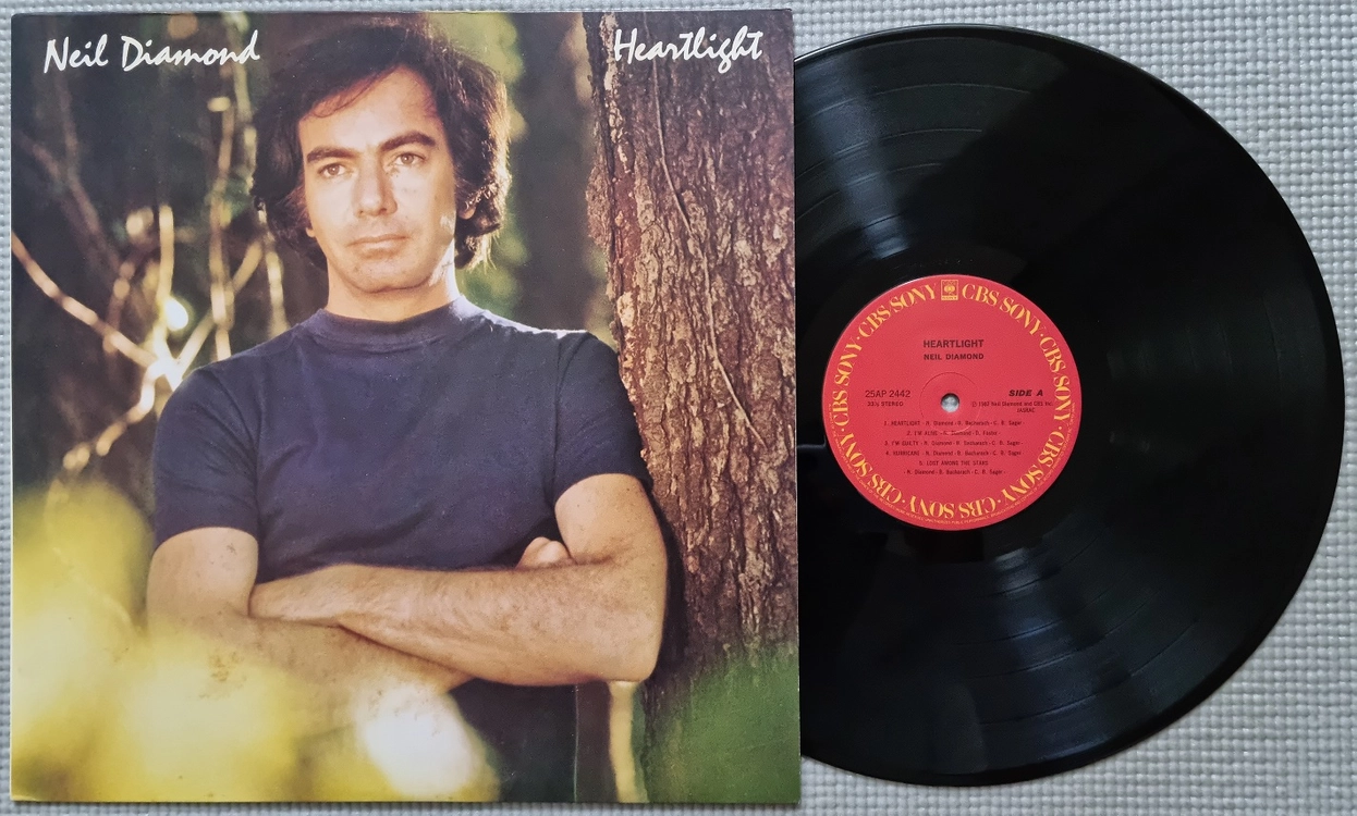 Pop & Rock LP / 0926-1 이미지