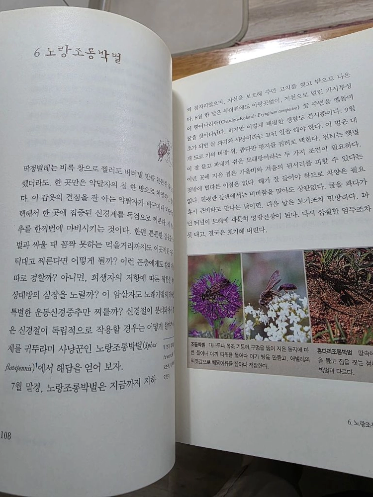 현암사 파브르곤충기 10권 이미지