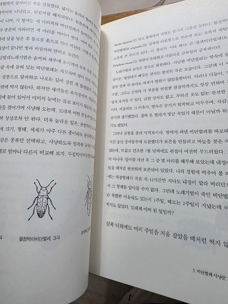 현암사 파브르곤충기 10권 이미지