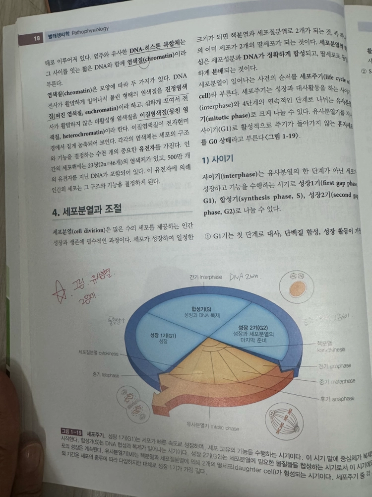 병태생리학 수문사 이미지