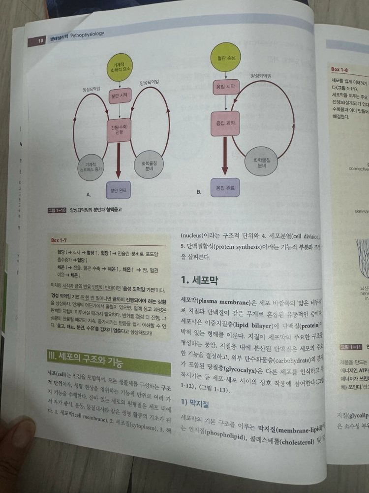 병태생리학 수문사 이미지