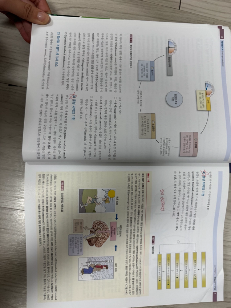 병태생리학 수문사 이미지