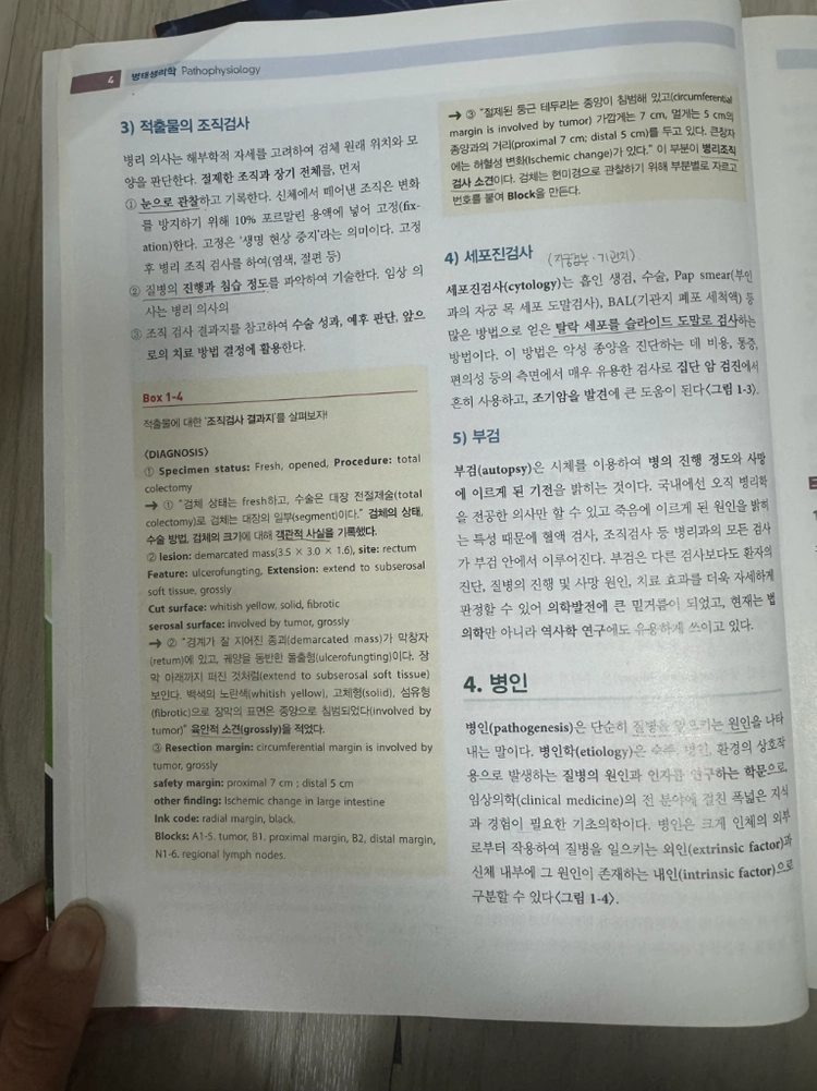 병태생리학 수문사 이미지