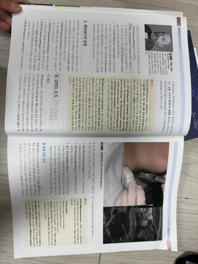 병태생리학 수문사 이미지