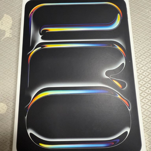 아이패드 iPad Pro 11 M4 셀룰러 이미지