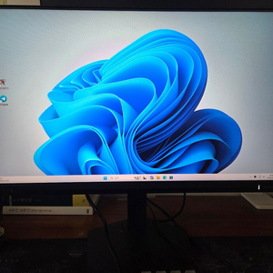 필립스 에브니아 24인치 200Hz IPS패널 모니터 이미지