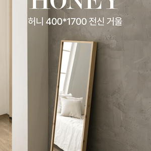 iHome 전신거울 전신거울(40cm*170cm/거의새것) 이미지
