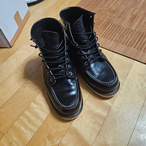 레드윙목토275E 이미지