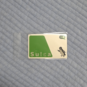 [여행 필수품] 일본 무기명 스이카 교통 카드 Suica 카드 편의점 음식점 매장 사용 가능 IC 카드 판매해요. 이미지