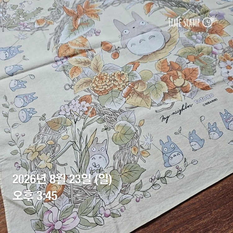 이웃집 토토로 손수건 이미지