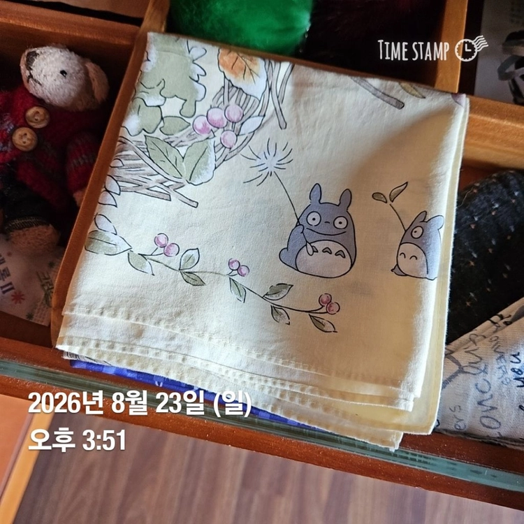 이웃집 토토로 손수건 이미지
