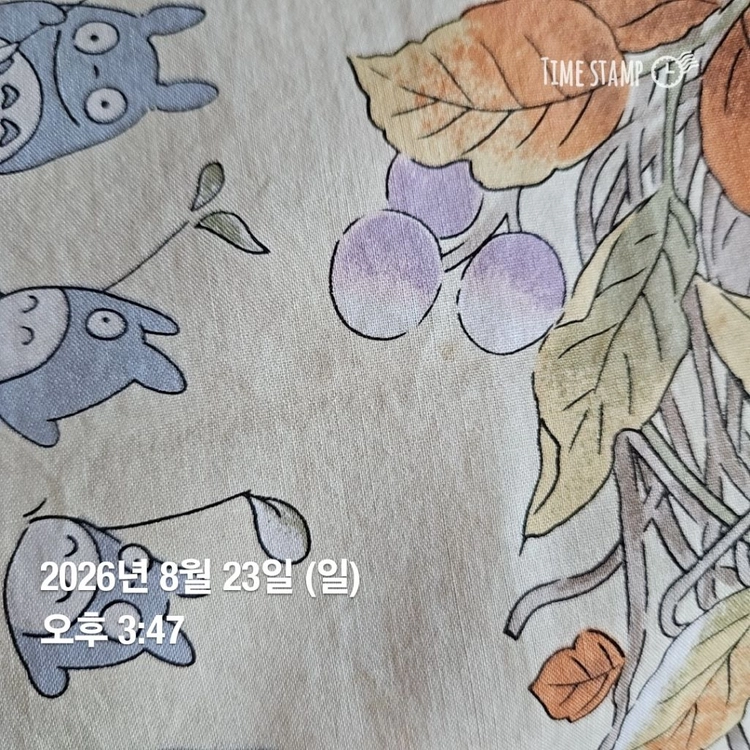 이웃집 토토로 손수건 이미지