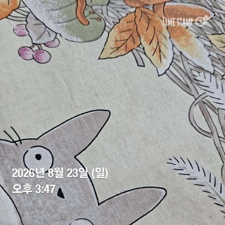 이웃집 토토로 손수건 이미지