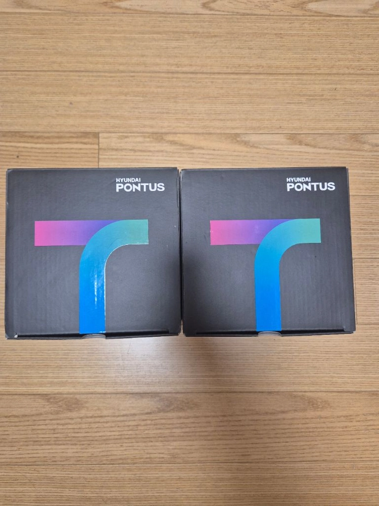 현대폰터스 H3000 2대 원가이하판매 이미지