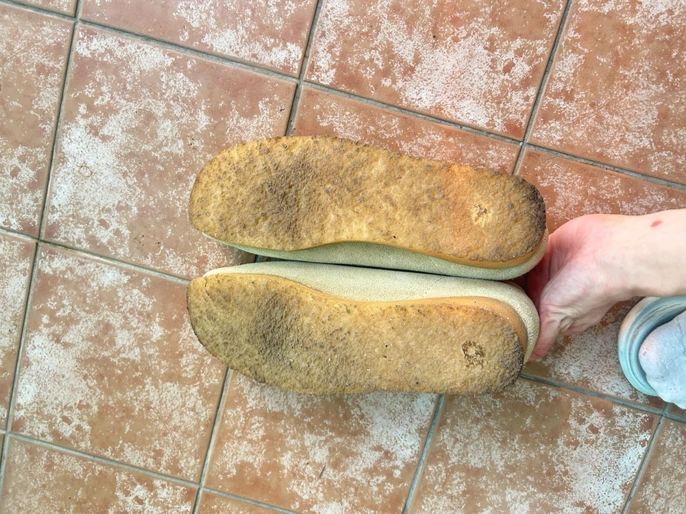 클락스 왈라비 270 이미지