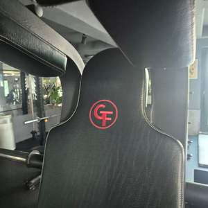 GF 브이스쿼트 이미지