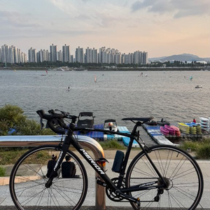 메리다 스컬트라 100 로드자전거 판매/대차 이미지