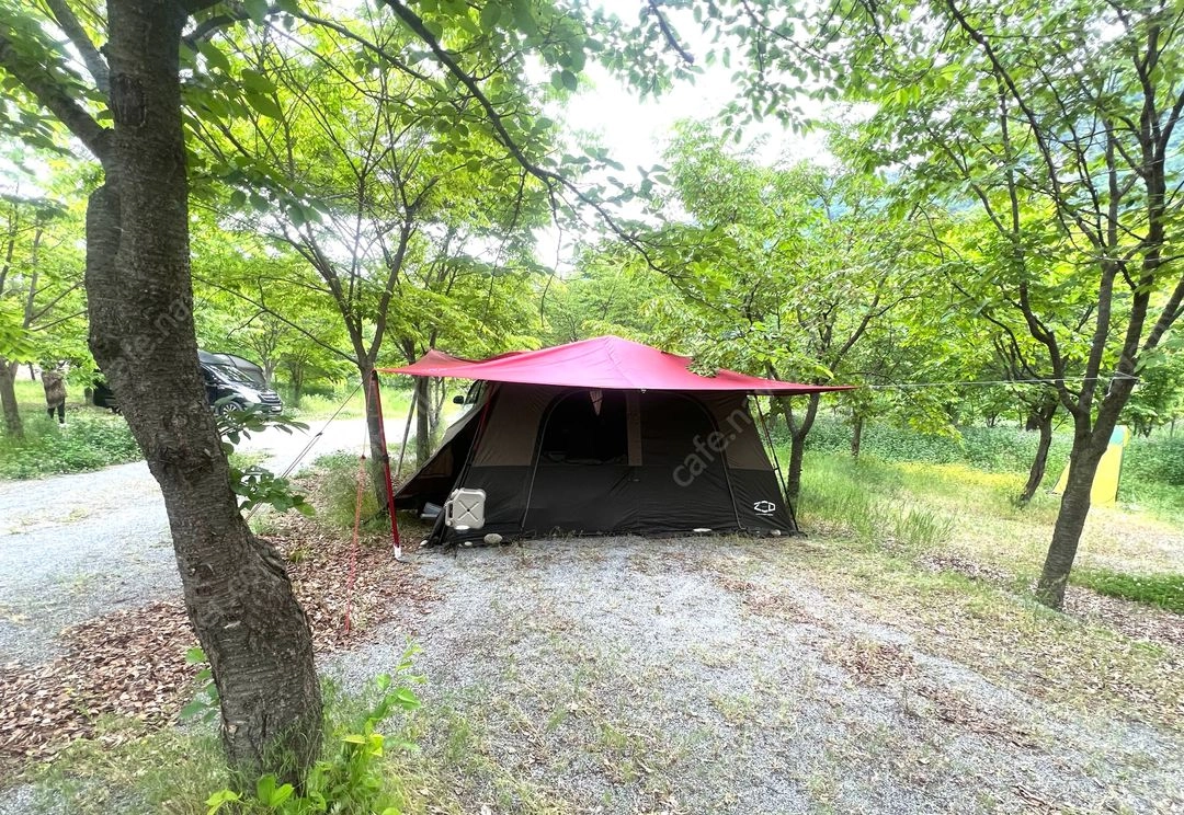 블랙코팅타프 이미지