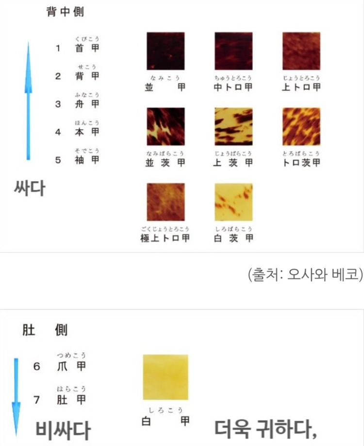 전체글필독 귀갑테] 거북이 백갑 넥타이핀 커프스 셋트 루이비통 샤넬 구찌 펜디 프라다 에르메스 디올 버버리 톰브라운 이미지