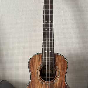 4현 우쿠렐로 + 전용케이스 이미지