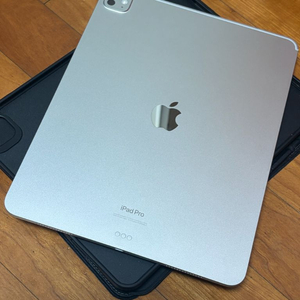 아이패드 프로 13인치 M4 256GB WiFi + 애플펜슬 프로 이미지