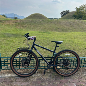 surly bridge club squid ink S 이미지
