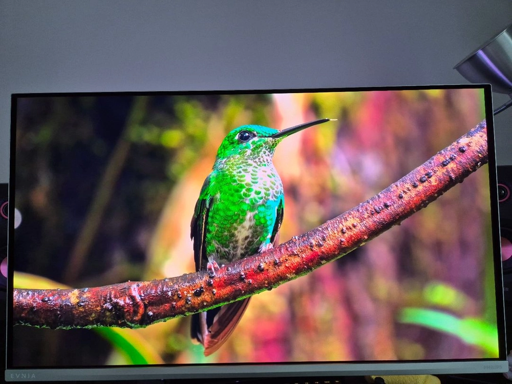 필립스 32M2N8800 OLED 4K 240Hz 게이밍 모니터 (에브니아 g80sd pg32ucdm 동급) - 안심되는 중고거래