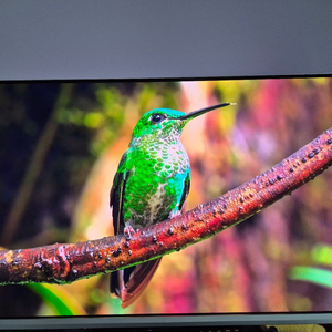 필립스 32M2N8800 OLED 4K 240Hz 게이밍 모니터 (에브니아 g80sd pg32ucdm 동급) 이미지