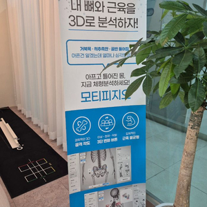 3D 분석 운동치료기기 이미지