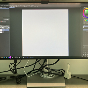 DELL UltraSharp U2424HE 이미지
