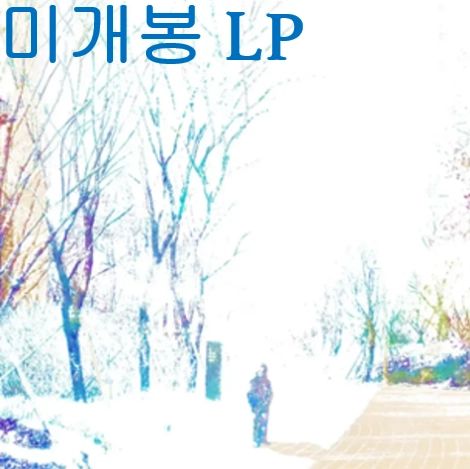 파란노을 (Parannoul) - After The Magic (미개봉, 초판 Blossom Colored LP) 이미지