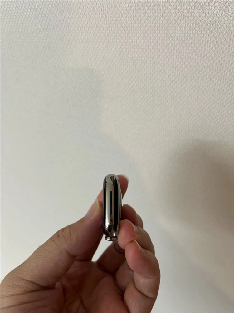 애플워치10티타늄 42mm 내추럴 SS급 이미지
