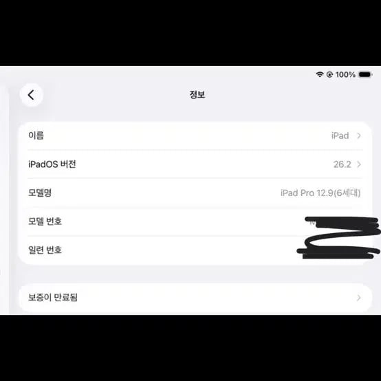 애플 아이패드 프로 12.9 6세대 256GB 이미지