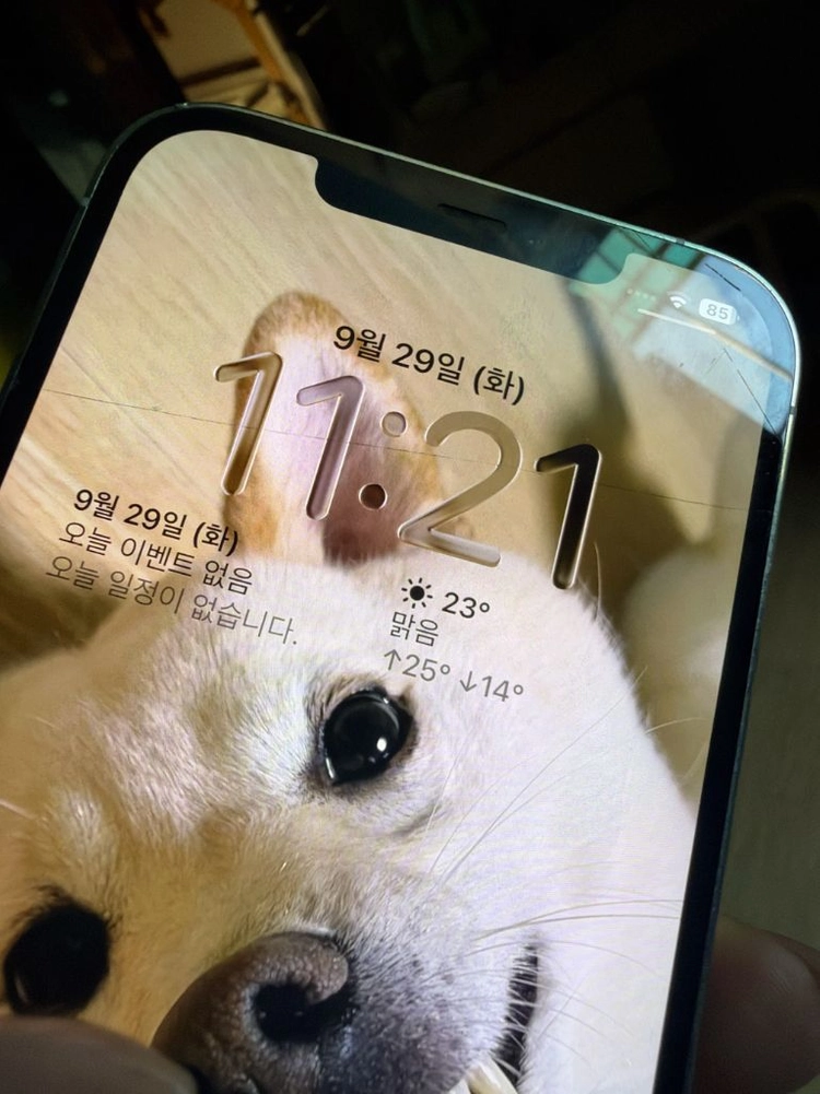 아이폰12pro max 256GB 화이트 이미지