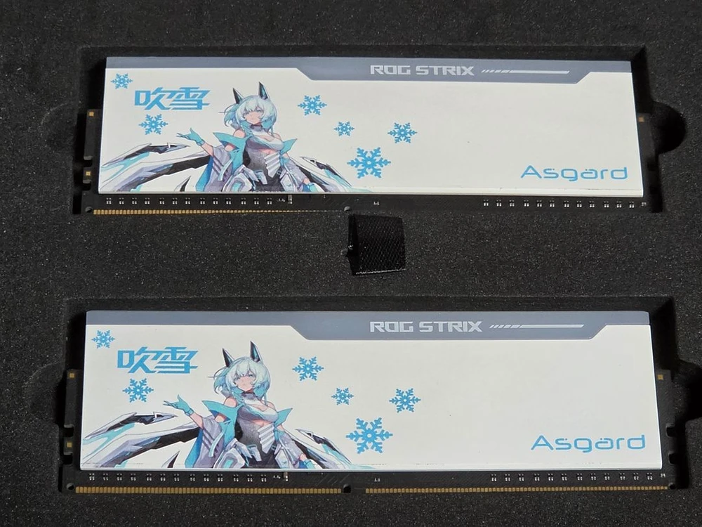 Asgard Bragi DDR4 후부키 램 16gb 이미지