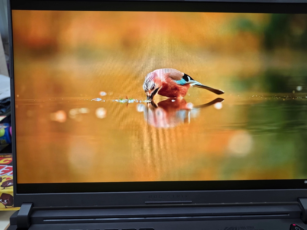ASUS STRIX G16 5080(쿠팡보험) 이미지