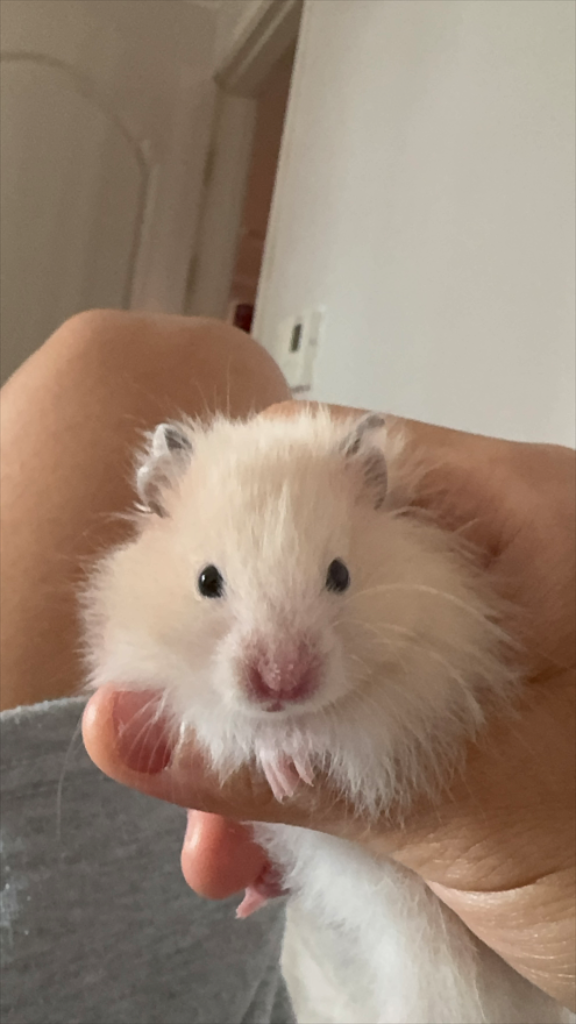 프로필 이미지
