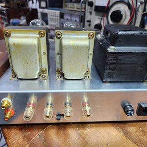 6L6 SE.STEREO 이미지