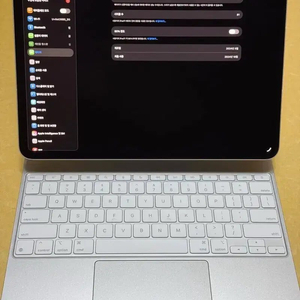 아이패드 프로 M4 13인치 256GB 셀룰러 이미지